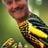 Dennis Bjerregaard's profile picture