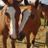 Oretto De Lutterbach's profile picture