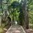 The Pine Walk Collection's profile picture