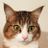 Sophie Poesket's profile picture