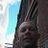 Dj Convolution's profile picture