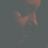 ostavština's profile picture