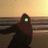 Claudia Lancaster's profile picture