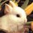 Alen Makaronov's profile picture