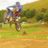 Rhys Thomas Jim Quinn's profile picture