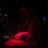 DOM's profile picture