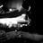 IRIE SOUND PROMO/ STATURE NZ's profile picture