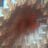 Belinda Schroots's profile picture