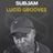 Lucid Grooves's profile picture