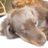 Yuka Morizono's profile picture