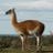 Erika Wilson's profile picture