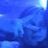 Evy Geysegoms's profile picture