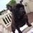 Mary Liptrot's profile picture