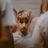 Nikolas Thompson's profile picture