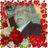 Malcolm Hutchinson's profile picture