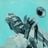 la discotheque africaine's profile picture