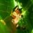 tekfox's profile picture