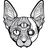 Nanokat's profile picture