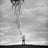 Benoit Cardon's profile picture