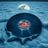 Underground Vinyl Vibes's profile picture
