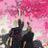 Yulia Vanifatieva's profile picture