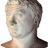 solmarcataldi's profile picture