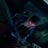 Maca Aviles's profile picture