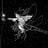Deep Tone Rebel (Traumamt)'s profile picture