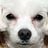 돌돌이's profile picture