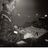 DJ Tasha KP's profile picture