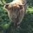 Ed Taylor's profile picture