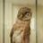 Sam Rockwell Liverton's profile picture