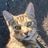 findlefoot's profile picture