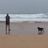 Paul Ryan's profile picture