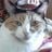 pgeishirt's profile picture