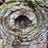 spectrasonicsound's profile picture