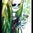 Valdemarie Blackwood's profile picture