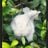 mare b's profile picture