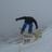 Baz Williams's profile picture