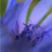 Hi-Vis's profile picture