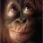 Murray Cotgrove's profile picture