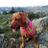 Debbie Noble's profile picture