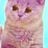 MrKC's profile picture