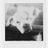 Damien Kervella's profile picture