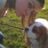 Lucy Barrett's profile picture