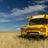 the field Trip's profile picture