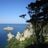 Between Two Islands's profile picture