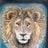 Rio  Yonezawa's profile picture