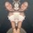 Lil Miss Tonii's profile picture
