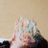 Sjors Van Oevelen's profile picture